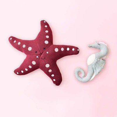 Best Years Under the Sea Bundle