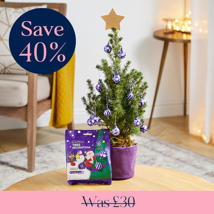 The Cadbury Christmas Tree Moonpig