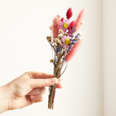 The Mini Dried Pretty in Pink