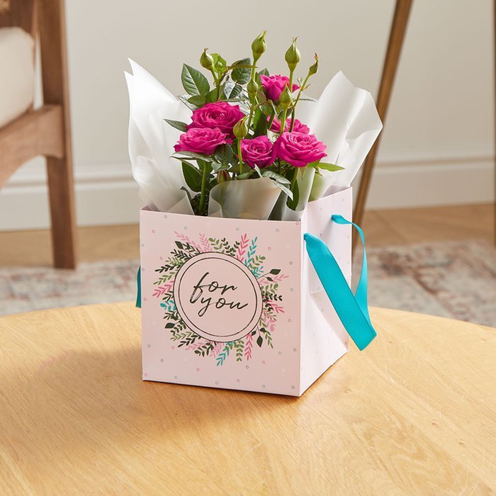 The Rose Plant, Chocolates & Mini Gift Set Moonpig