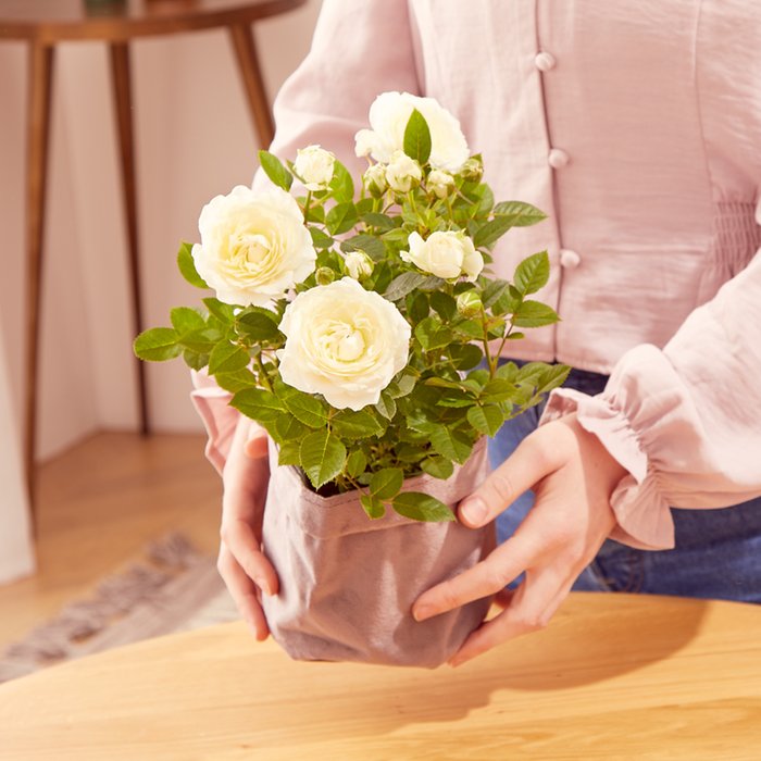 The White Wine Gift Set Moonpig