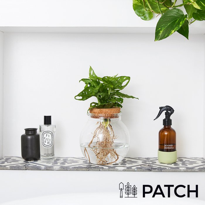 Patch ‘Wallace the Hydroponic Plant’ Set