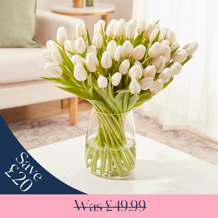 The 50 White Tulips