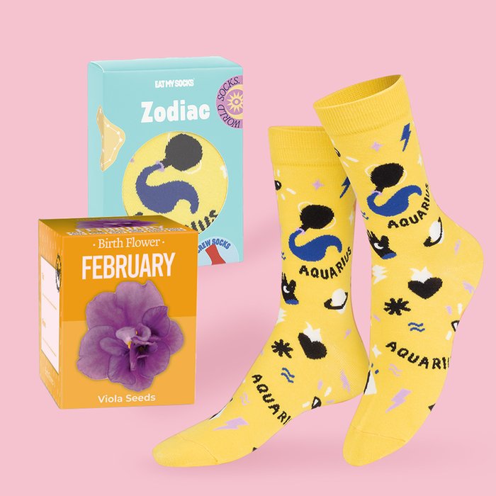 Grow Your Own February Birth Flower & Aquarius Socks 