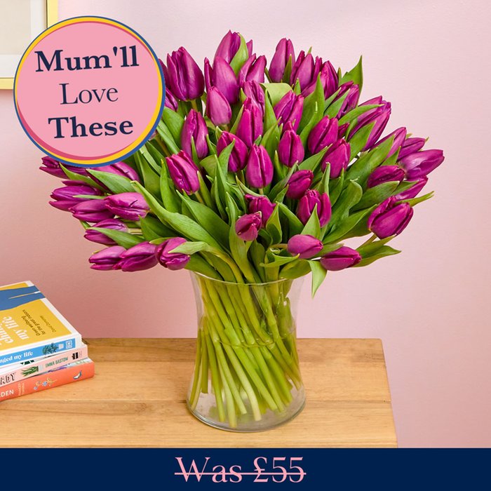 The Ultimate Love of Tulips