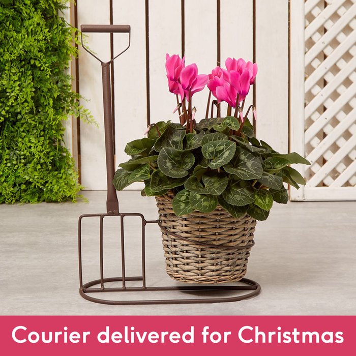 Pink Cyclamen and Fork Planter