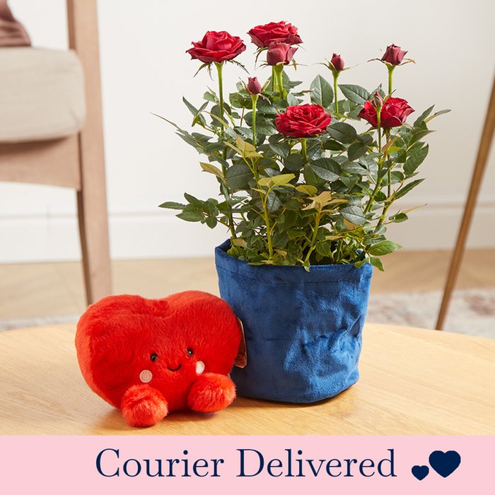 Rose Plant & Heart Plush Letterbox