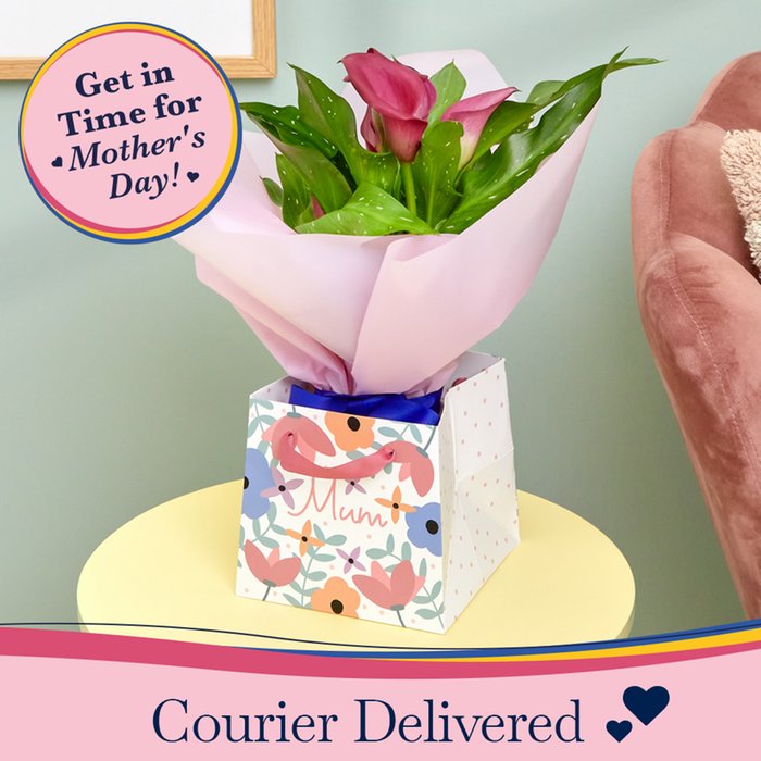Calla Lily Gift Bag Moonpig