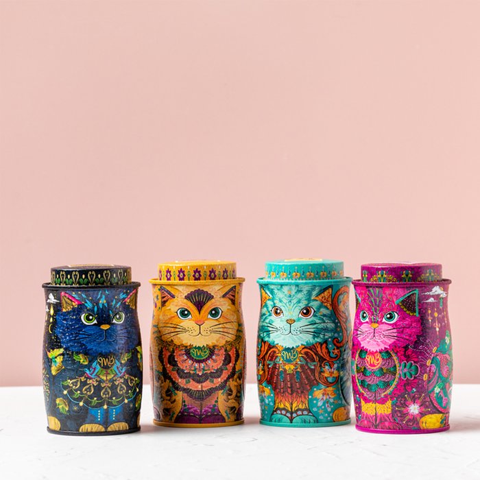 Monty Bonjangles Kitten Tin Collection Truffles Moonpig