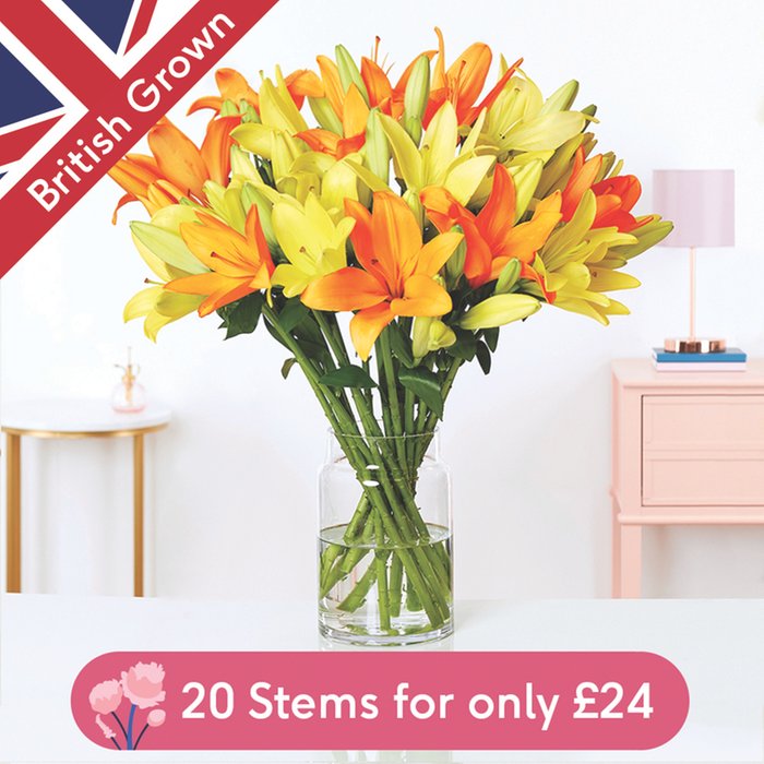 The Arrange at Home British Mixed Lilies