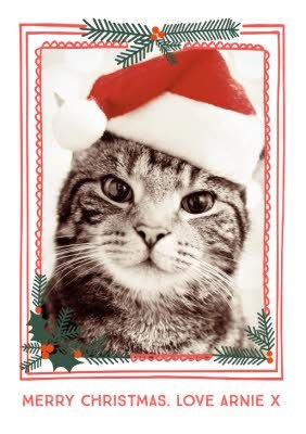 Merry Christmas From The Cat Photo Upload T-shirt