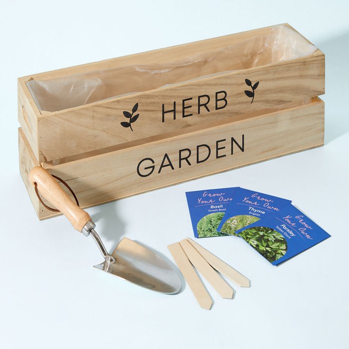 Herb Garden Planter Set & Seeds