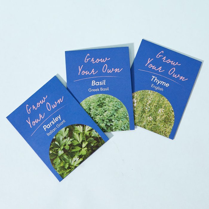 Herb Garden Planter Set & Seeds Moonpig