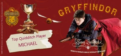 Harry Potter Top Quidditch Player Personalised Mug