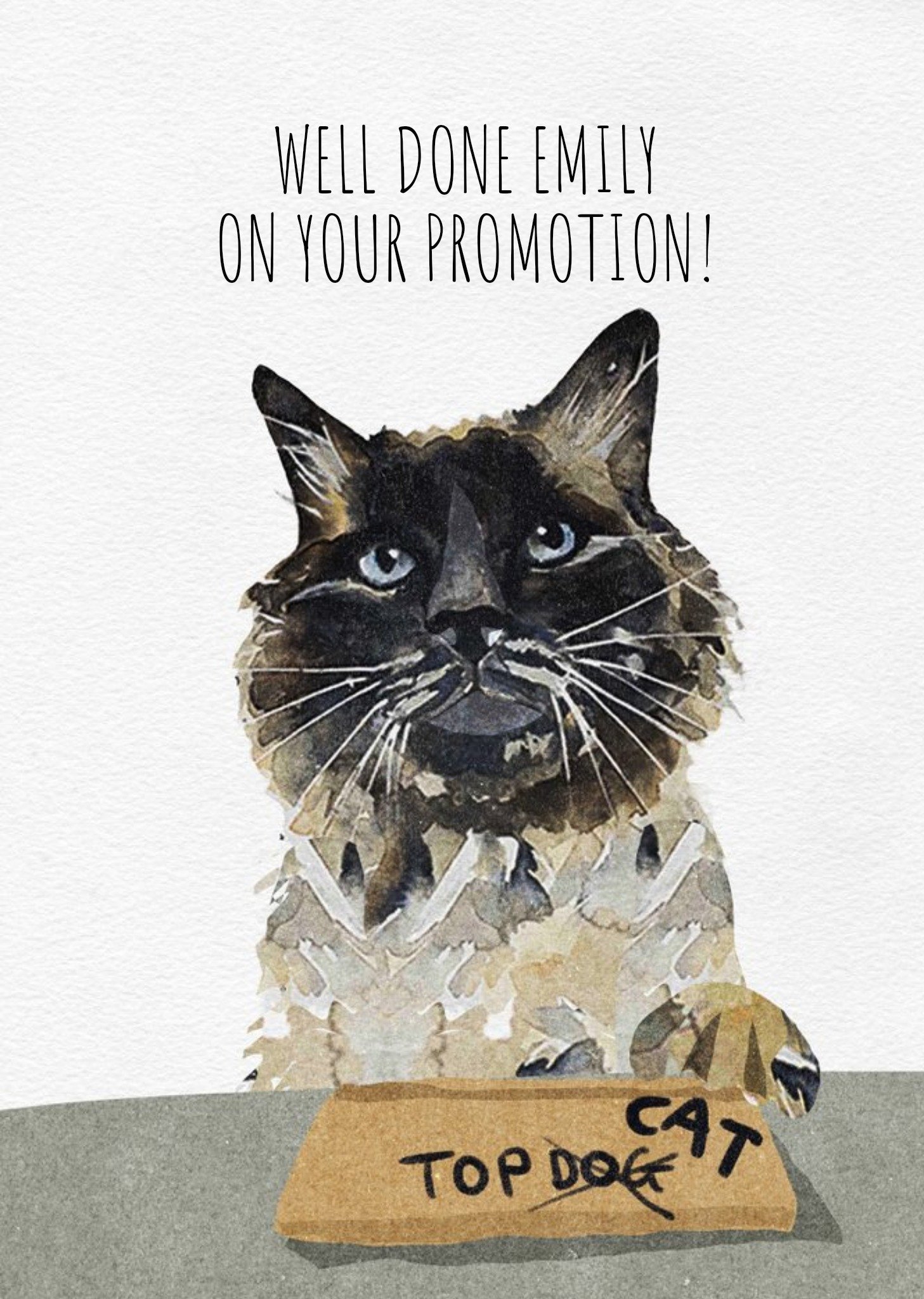 Jo Scott Art Watercolour Illustration Top Cat Cute Promotion Card Ecard