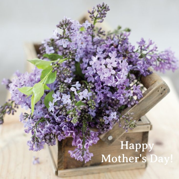 Bunches Of Lilacs Happy Mothers Day Card