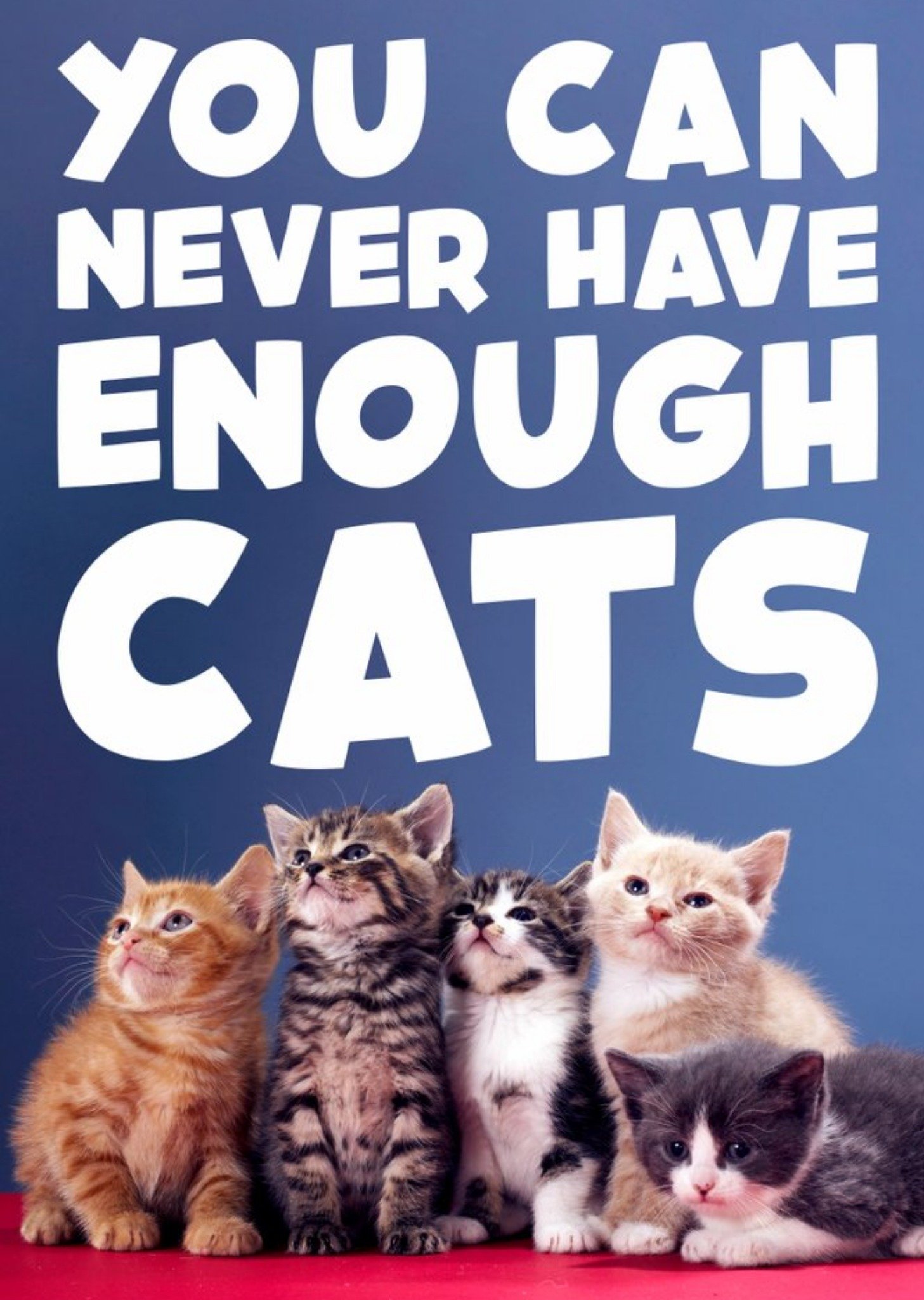 Moonpig You Can Never Have Enough Cats Funny Typographic Card, Large