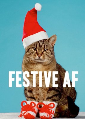 Cat With Santa Hat Festive Funny Christmas Card