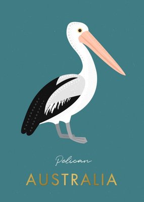 Sorcha Faulkner Illustrated Pelican Australia Card