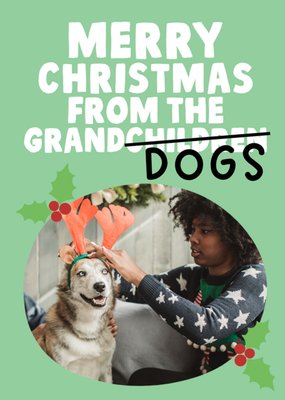 Merry Christmas From The Grand(children) Dogs Photo Upload Card
