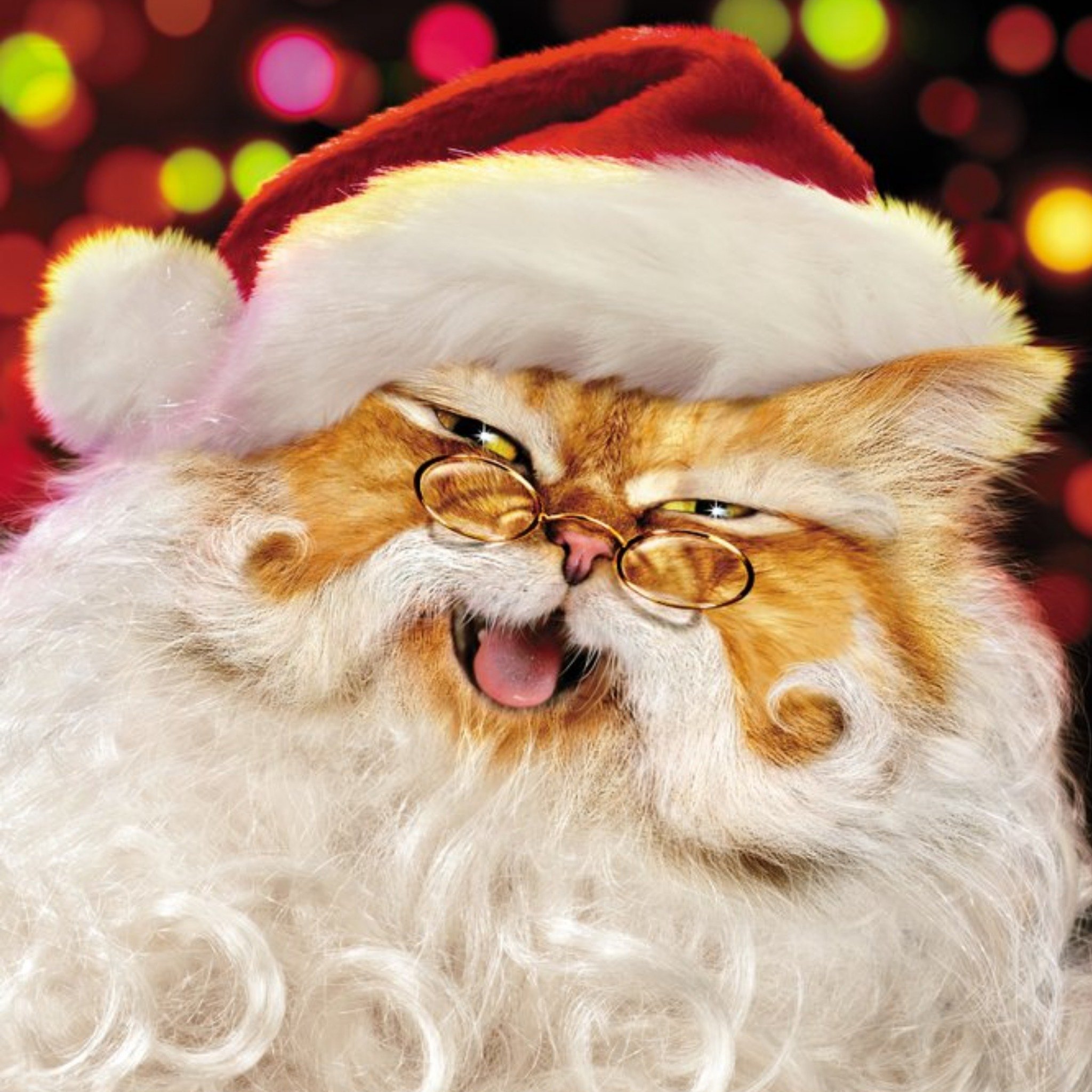 Santa Paws Christmas Cat Card, Square