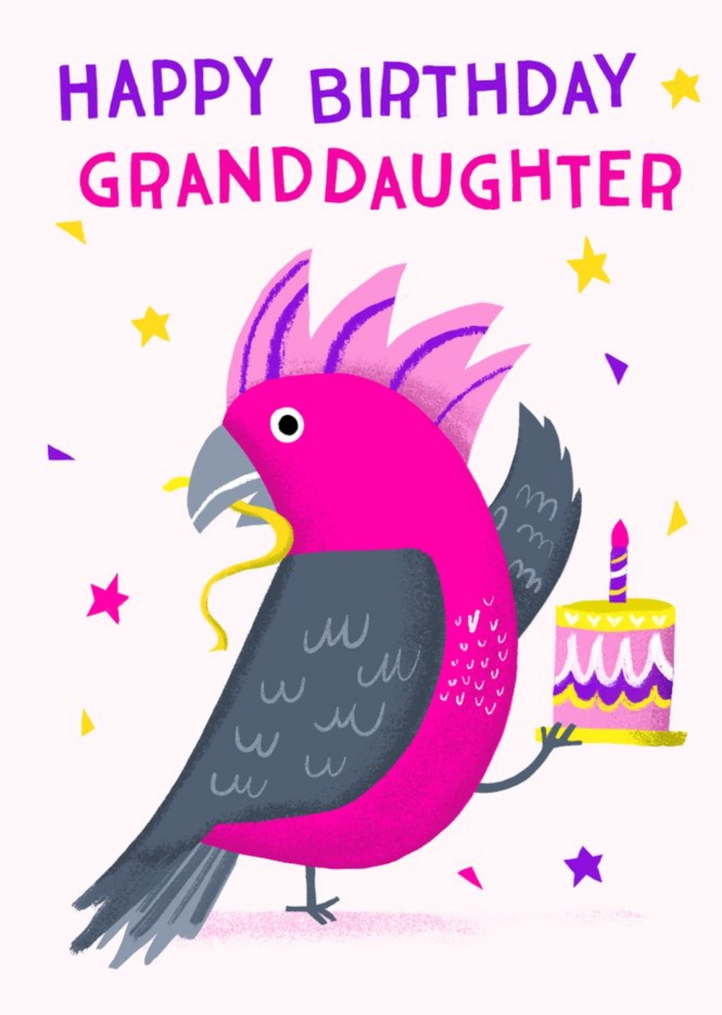Moonpig Sinead Hanley Illustration Australia Pink Cockatoo Birthday Bird Card Ecard
