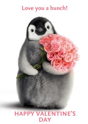Cute Penguin Love You A Bunch Happy Valentine's Day Card