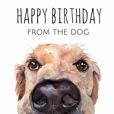 Illustrated Watercolour Labrador Happy Birthday From the Dog Birthday Card