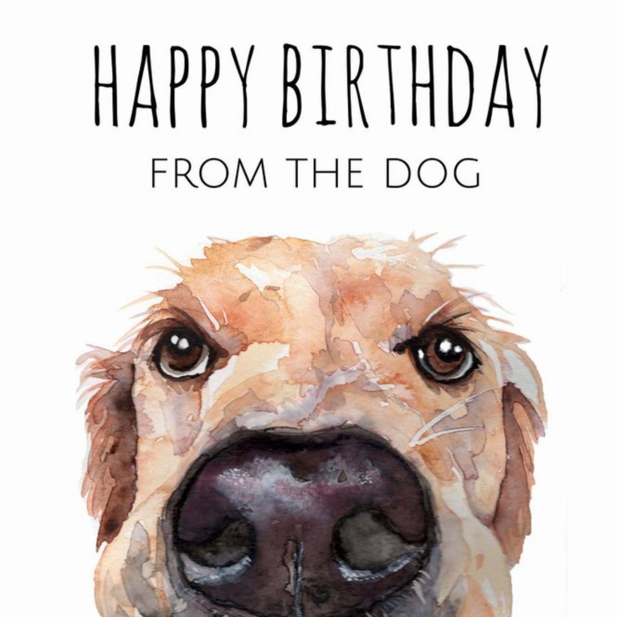 Moonpig Illustrated Watercolour Labrador Happy Birthday From The Dog Birthday Card, Large