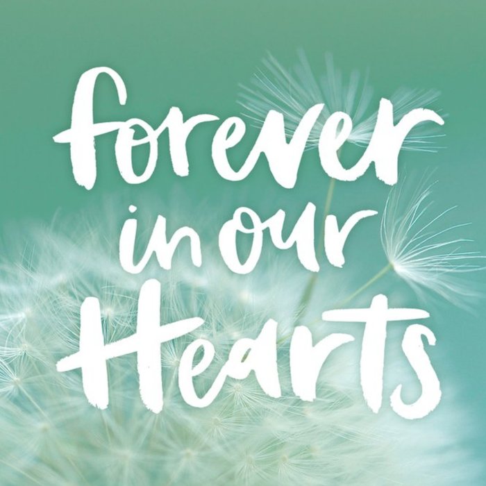 Dandelion Forever In Our Hearts Sympathy Card