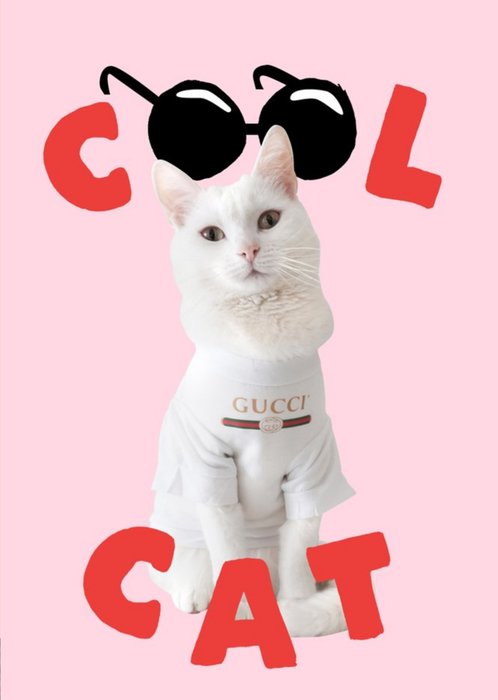 Jolly Awesome Cool Cat Funny Card