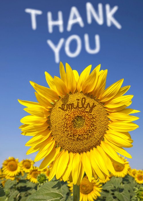 Personalised Text Thanks You Sunflower Card
