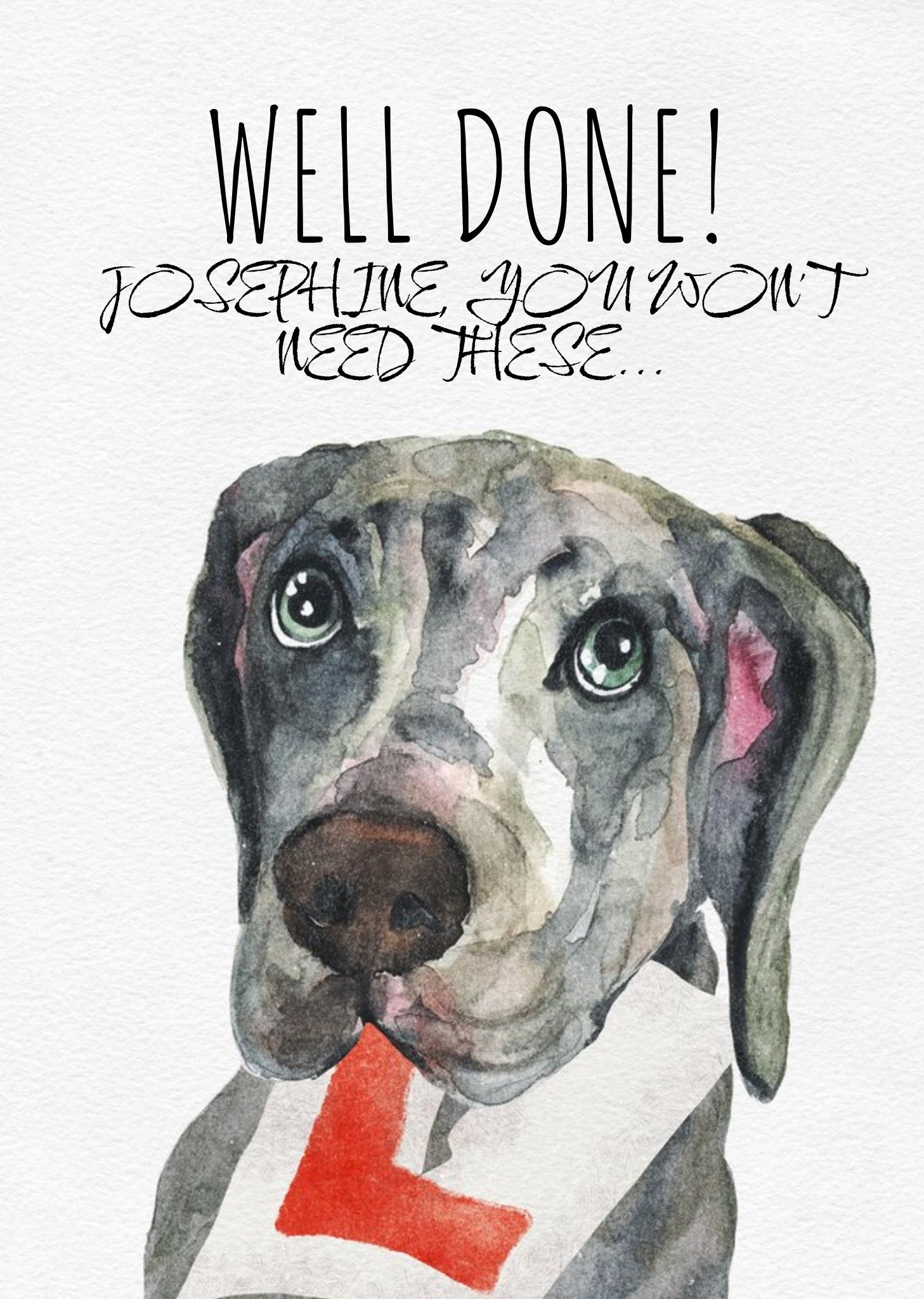 Friends Jo Scott Art Watercolour Dog Driving Test Congratulations Card, Large