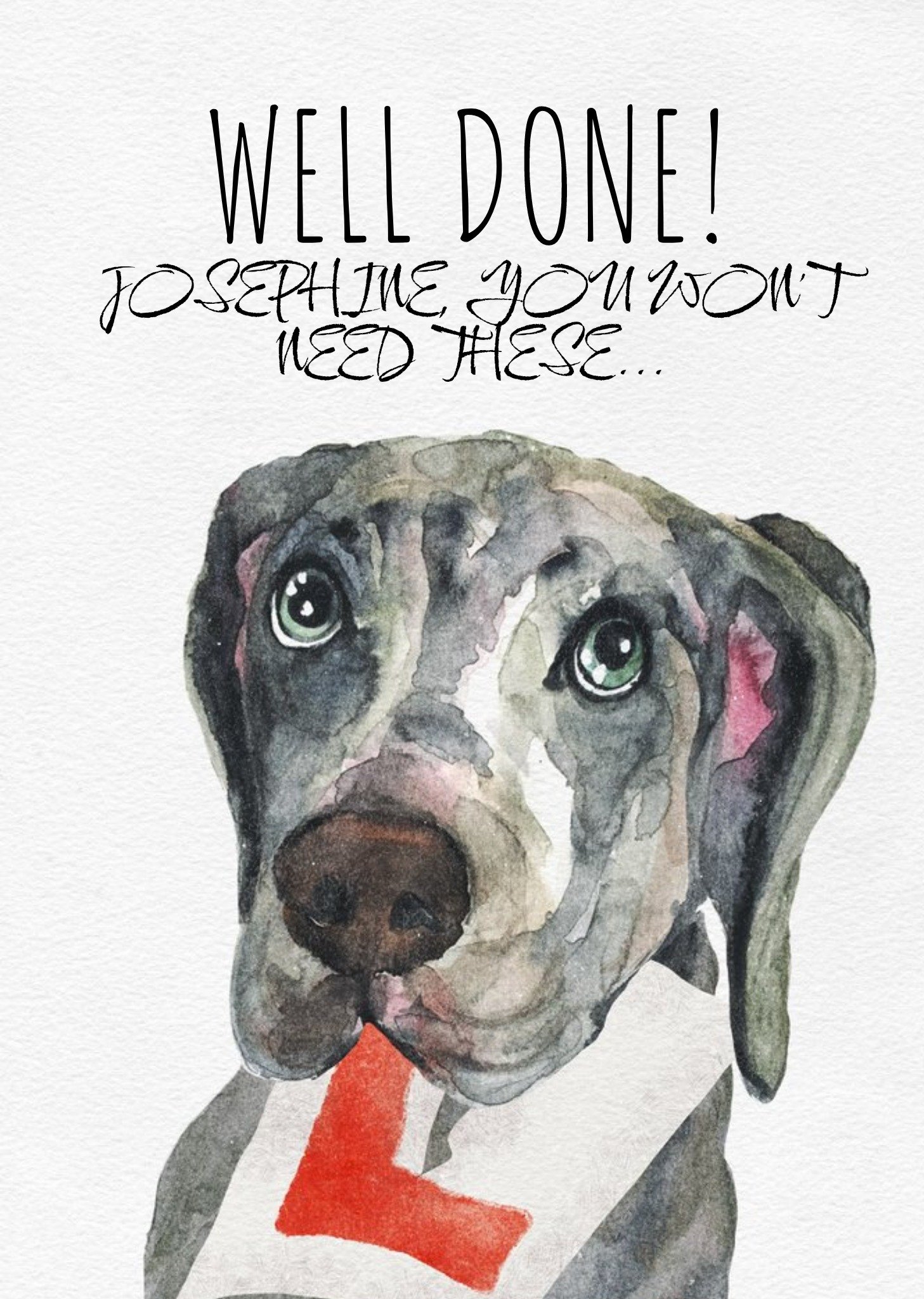 Friends Jo Scott Art Watercolour Dog Driving Test Congratulations Card