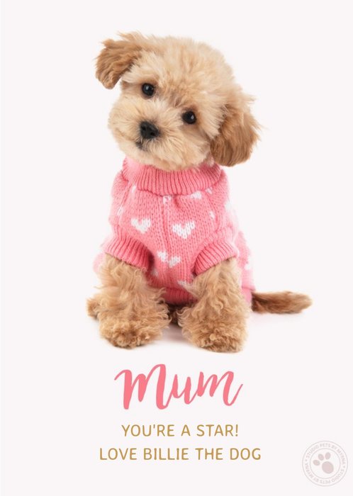 Puppy Mum You're A Star Cute Mother's Day Card
