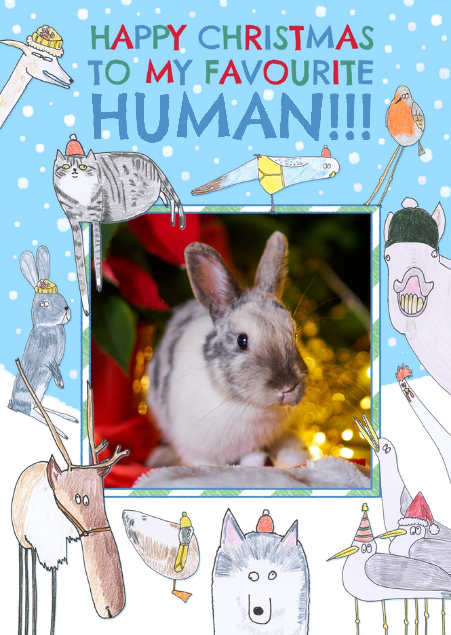 Hercule Van Wolfwinkle Happy Christmas To My Favourite Human Photo Upload Card, Large