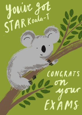 Katy Welsh Illustrated Koala Pun Exam Congratulations Card