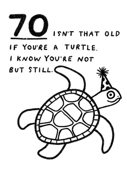 Pigment 70 Isn't That Old If You're A Turtle Funny Cheeky Birthday Card