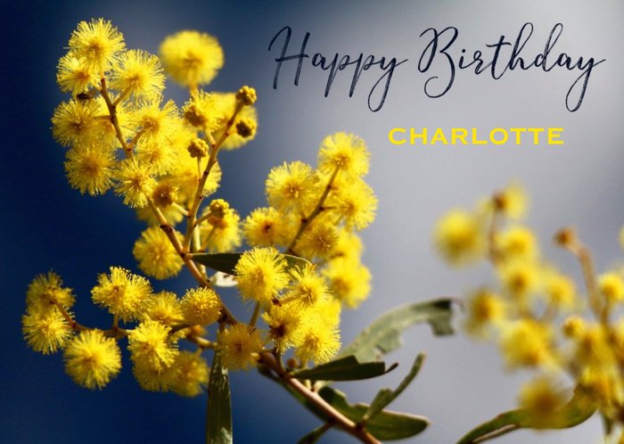 Harmonia Wild Flower Floral Traditional Birthday Australia Card