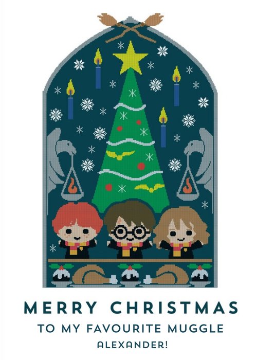 Harry Potter Merry Christmas to my favorite muggle - Christmas Jumper card