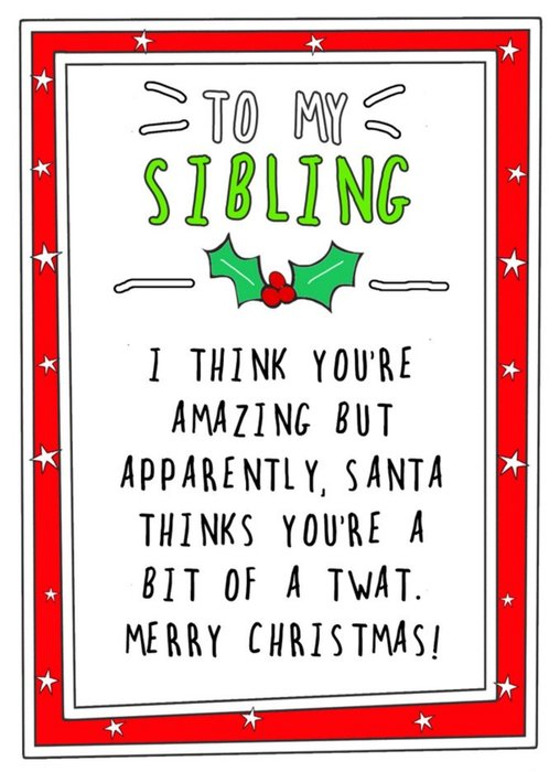 Funny To My Sibling I Think You Are Amazing But Chistmas Card