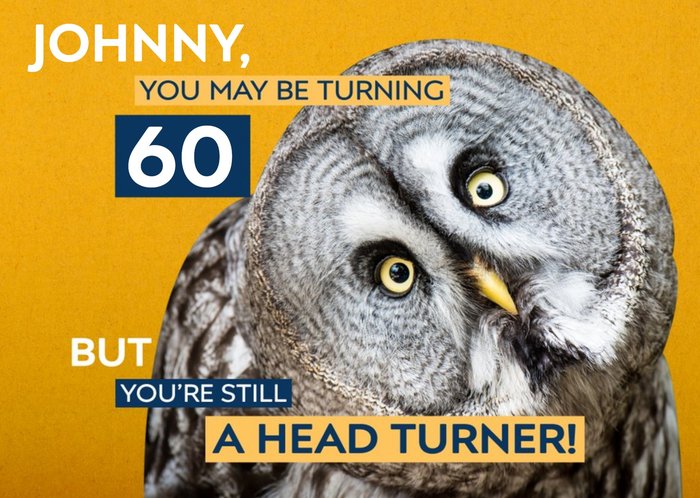 Birthday Card - Photo Humour - Animal Antics - 60th Birthday