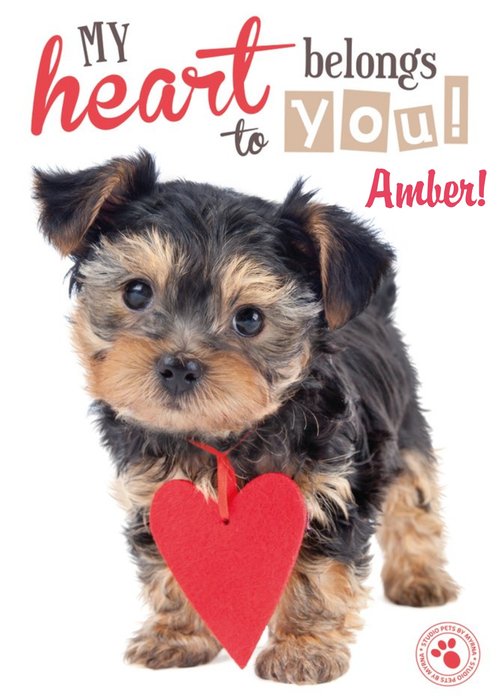 Studio Pets Heart Belongs To You Personalised Card