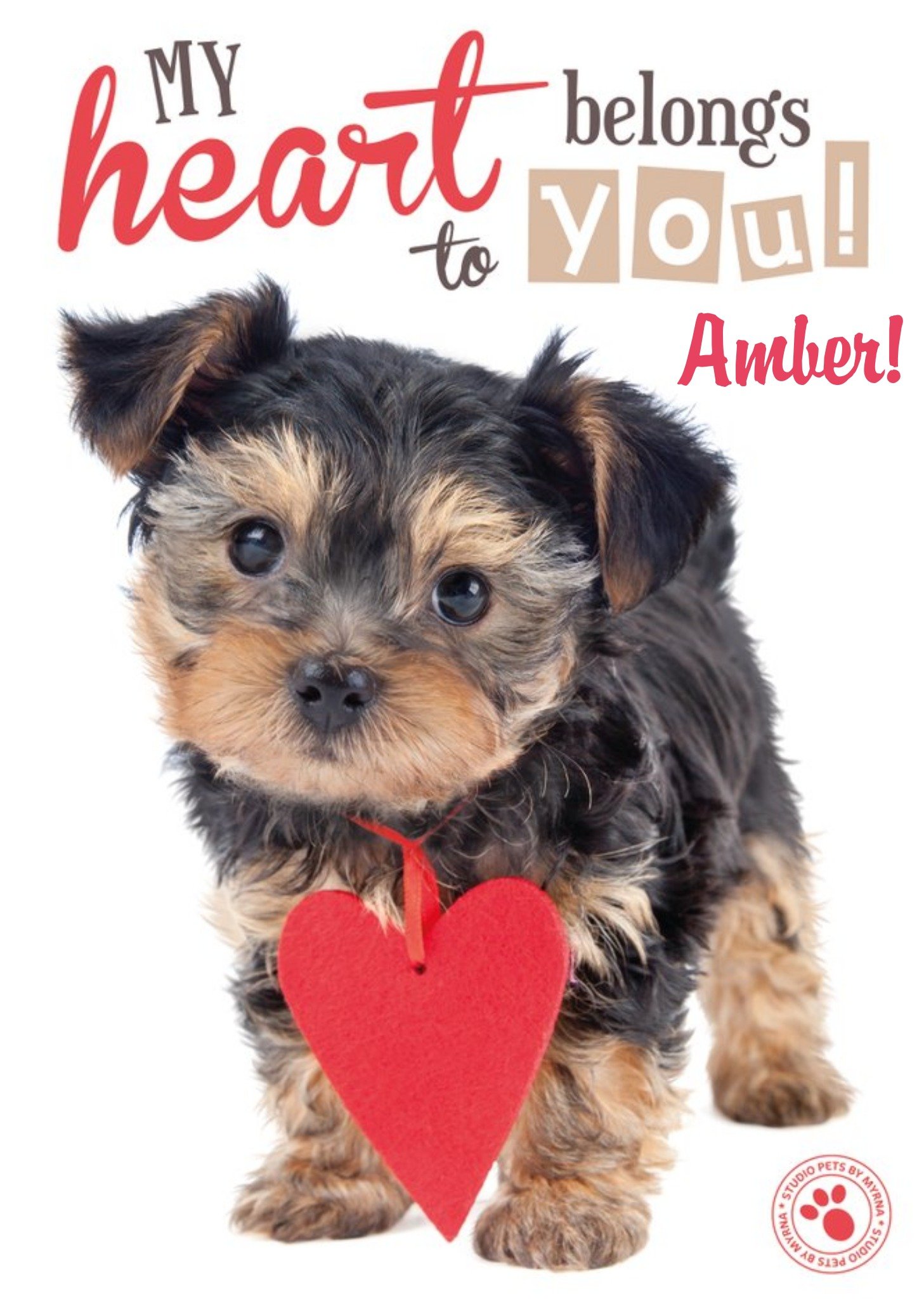 Studio Pets Heart Belongs To You Personalised Card, Large