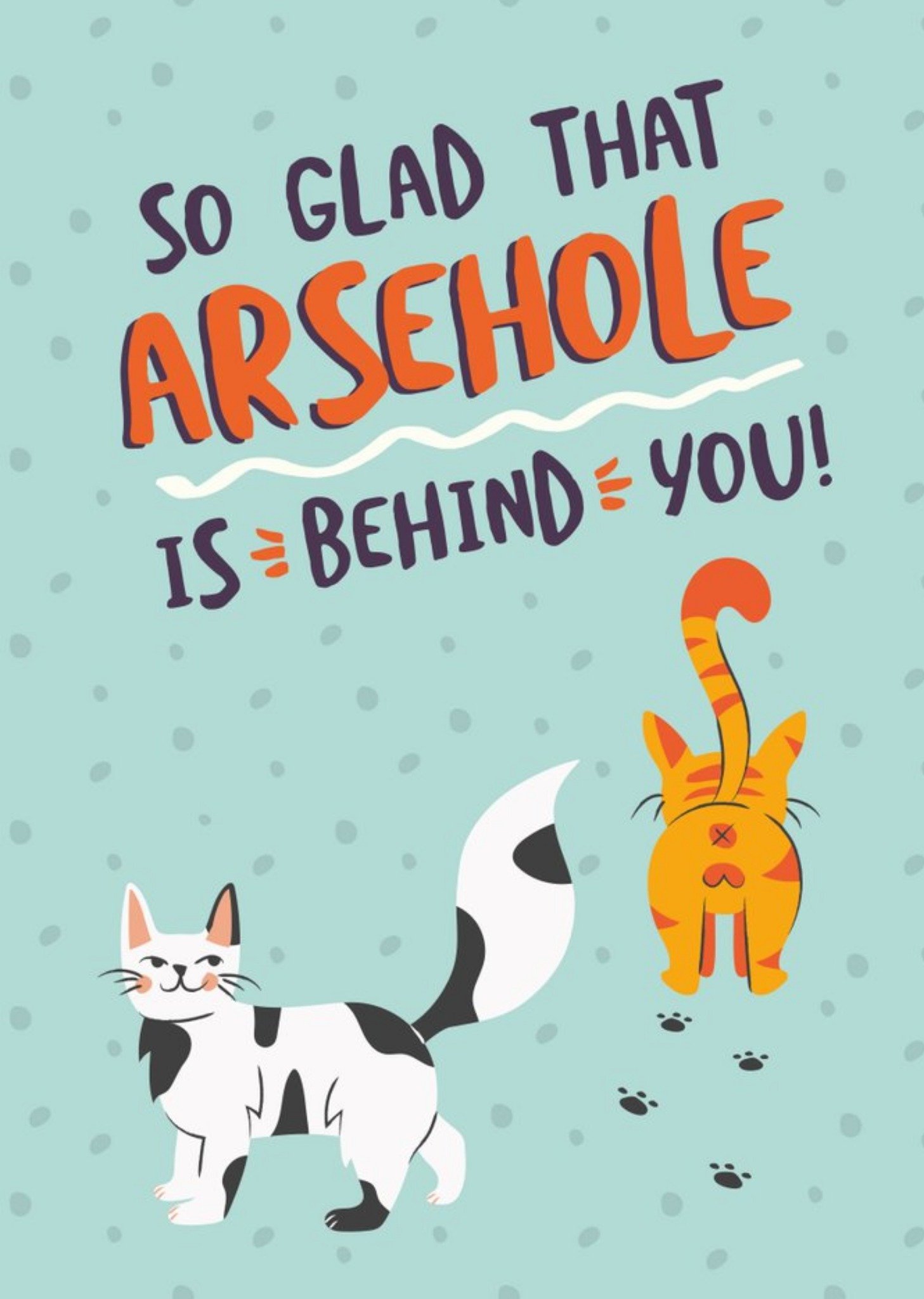 Friends Banter Illustration Funny Cats Divorce Animals Rude Pun Card, Large