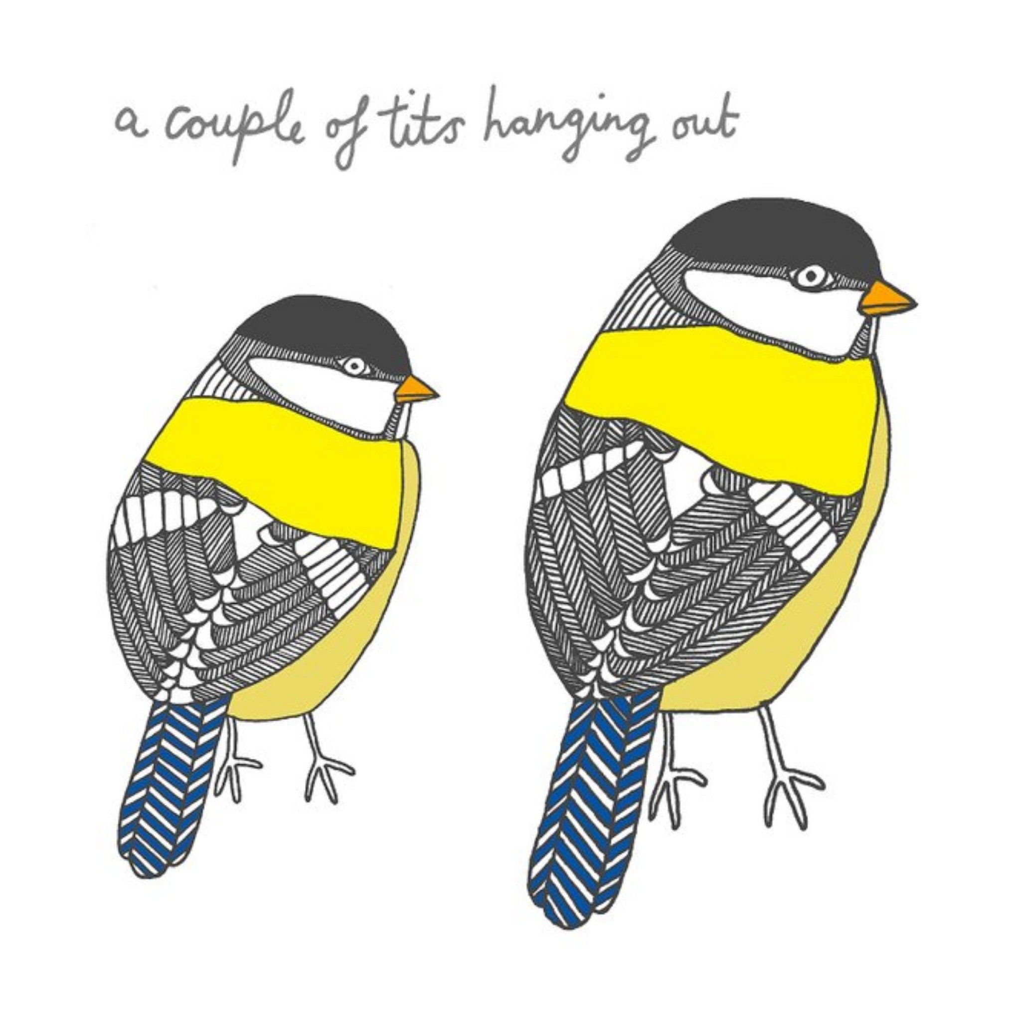 Moonpig A Couple Of Tits Hanging Out Funny Bird Card, Square
