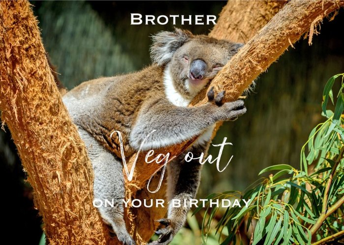 Harmonia Koala Chillin Traditional Brother Birthday Australia Card