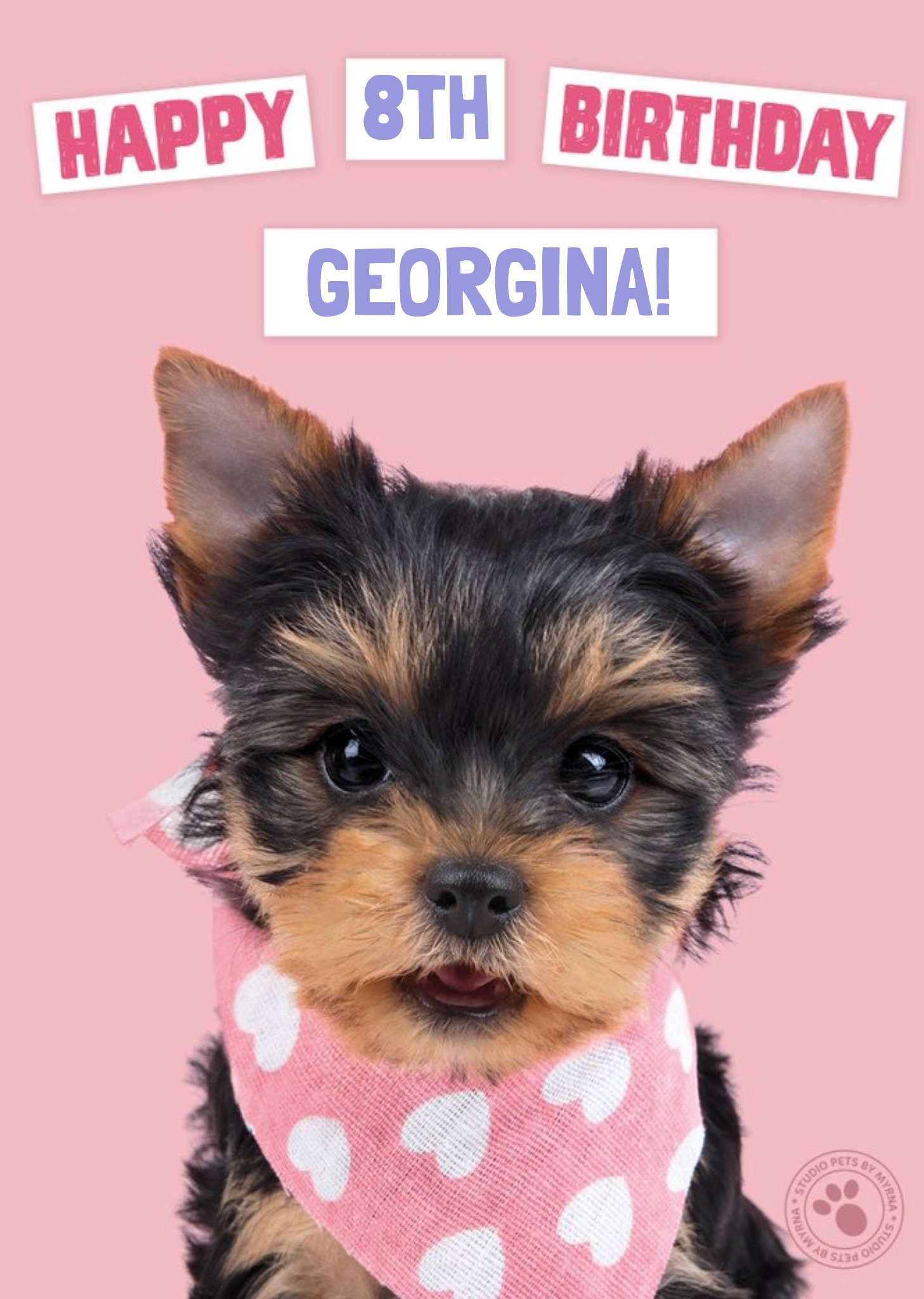Studio Pets Birthday Card Yorkshire Terrier Puppy With A Handkerchief Ecard