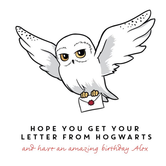 Harry Potter birthday Card -  Hedwig owl Hogwarts wizard letter