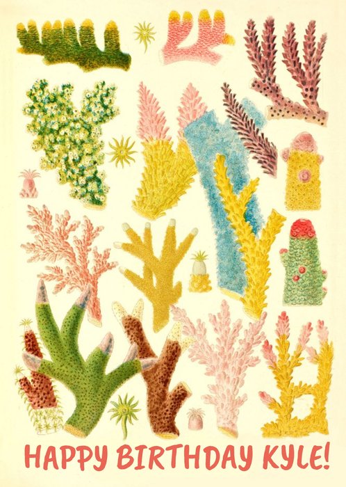 National History Museum Coral Reef Happy Birthday Card